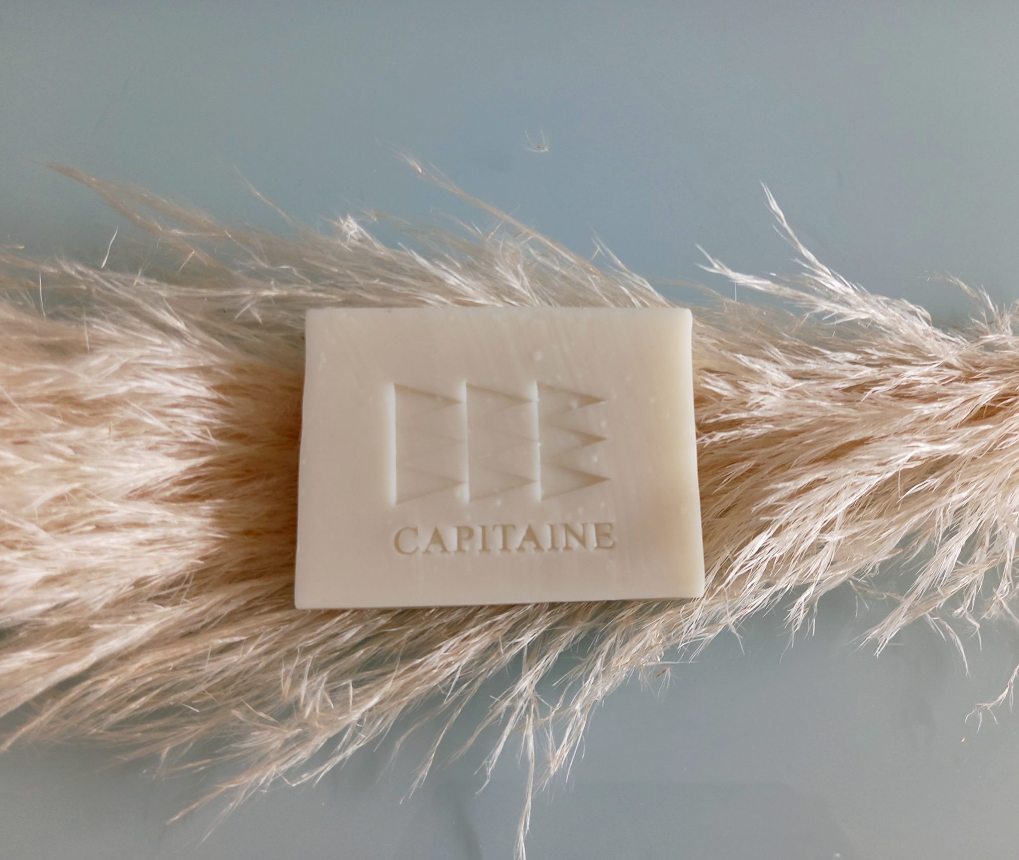 Savon Lait de Chèvre • Ty Mana